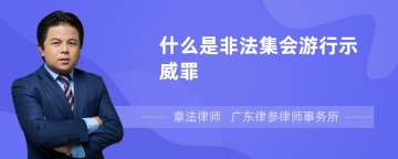 什么是非法集会游行示威罪