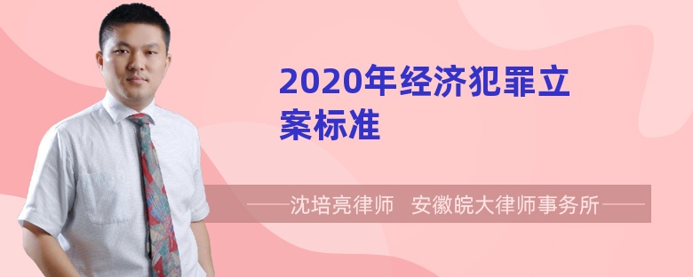 2020年经济犯罪立案标准