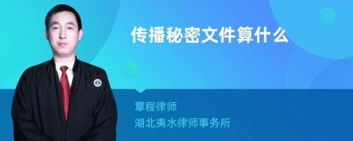 传播秘密文件算什么