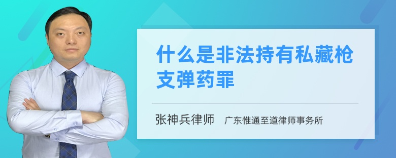 什么是非法持有私藏枪支弹药罪