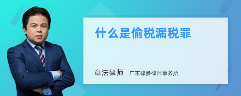 什么是偷税漏税罪