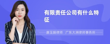 有限责任公司有什么特征