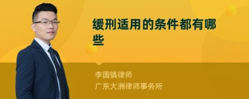 缓刑适用的条件都有哪些