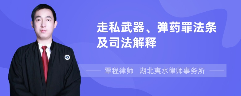 走私武器、弹药罪法条及司法解释