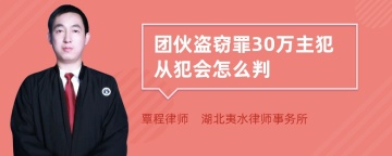 团伙盗窃罪30万主犯从犯会怎么判