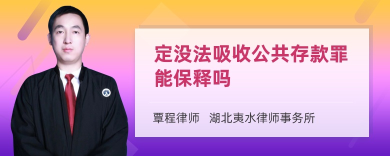 定没法吸收公共存款罪能保释吗