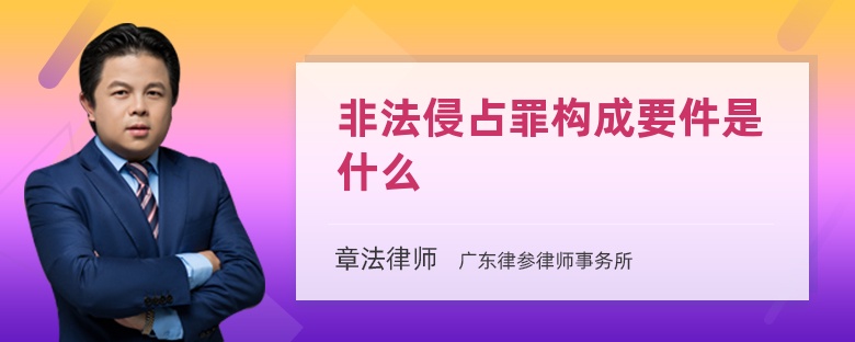 非法侵占罪构成要件是什么