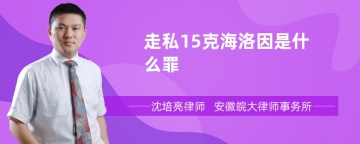 走私15克海洛因是什么罪