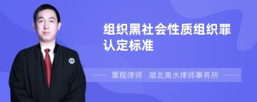 组织黑社会性质组织罪认定标准