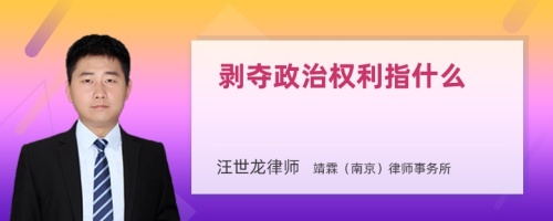 剥夺政治权利指什么