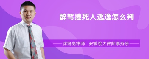 醉驾撞死人逃逸怎么判