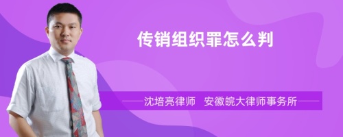 传销组织罪怎么判