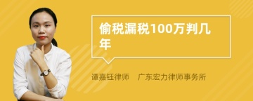 偷税漏税100万判几年