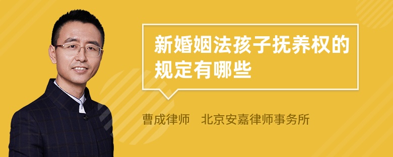 新婚姻法孩子抚养权的规定有哪些