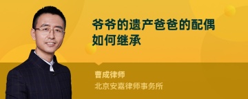 爷爷的遗产爸爸的配偶如何继承