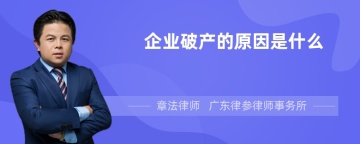 企业破产的原因是什么