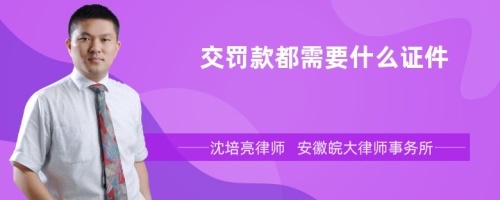 交罚款都需要什么证件