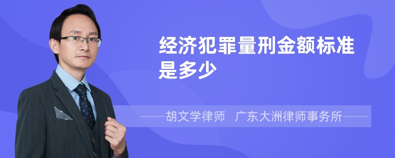 经济犯罪量刑金额标准是多少