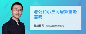 老公和小三同居算重婚罪吗