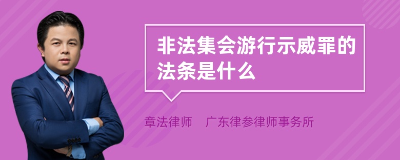 非法集会游行示威罪的法条是什么