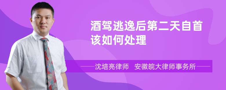 酒驾逃逸后第二天自首该如何处理