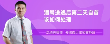 酒驾逃逸后第二天自首该如何处理