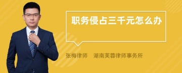职务侵占三千元怎么办