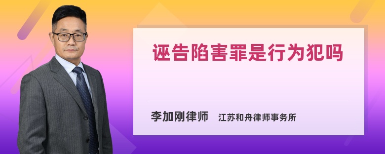 诬告陷害罪是行为犯吗