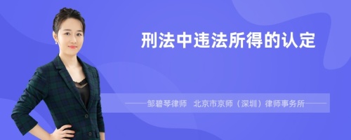 刑法中违法所得的认定