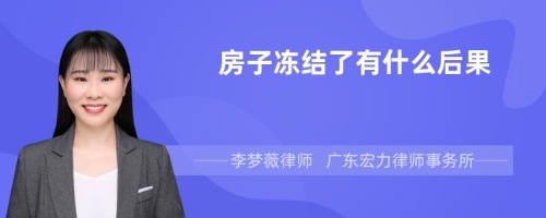 房子冻结了有什么后果