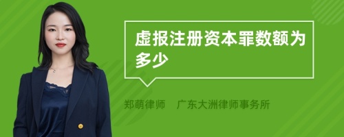 虚报注册资本罪数额为多少