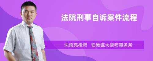 法院刑事自诉案件流程