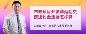 市政项目开发商延期交房违约金应该怎样算