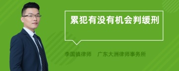 累犯有没有机会判缓刑