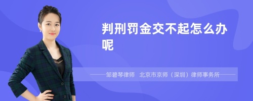 判刑罚金交不起怎么办呢