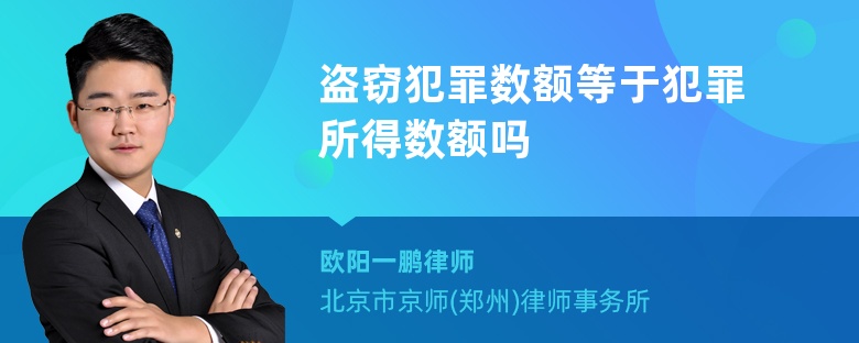 盗窃犯罪数额等于犯罪所得数额吗