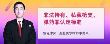 非法持有、私藏枪支、弹药罪认定标准