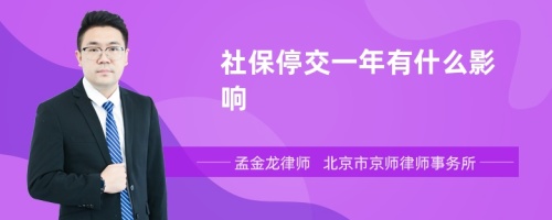 社保停交一年有什么影响