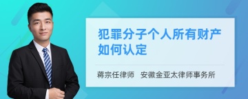 犯罪分子个人所有财产如何认定