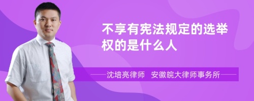 不享有宪法规定的选举权的是什么人