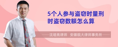 5个人参与盗窃时量刑时盗窃数额怎么算