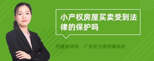 小产权房屋买卖受到法律的保护吗