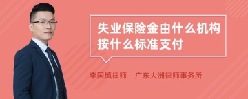 失业保险金由什么机构按什么标准支付