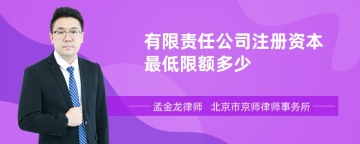 有限责任公司注册资本最低限额多少