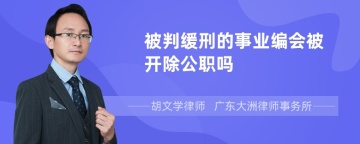 被判缓刑的事业编会被开除公职吗