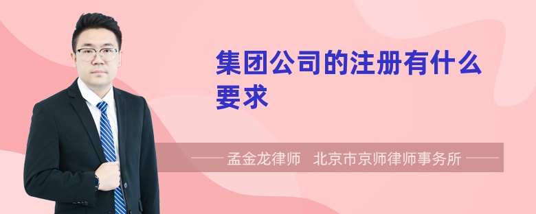 集团公司的注册有什么要求