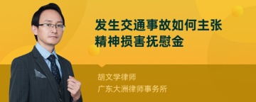 发生交通事故如何主张精神损害抚慰金