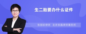 生二胎要办什么证件