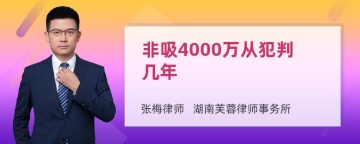 非吸4000万从犯判几年