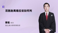 双胞胎离婚应该如何判